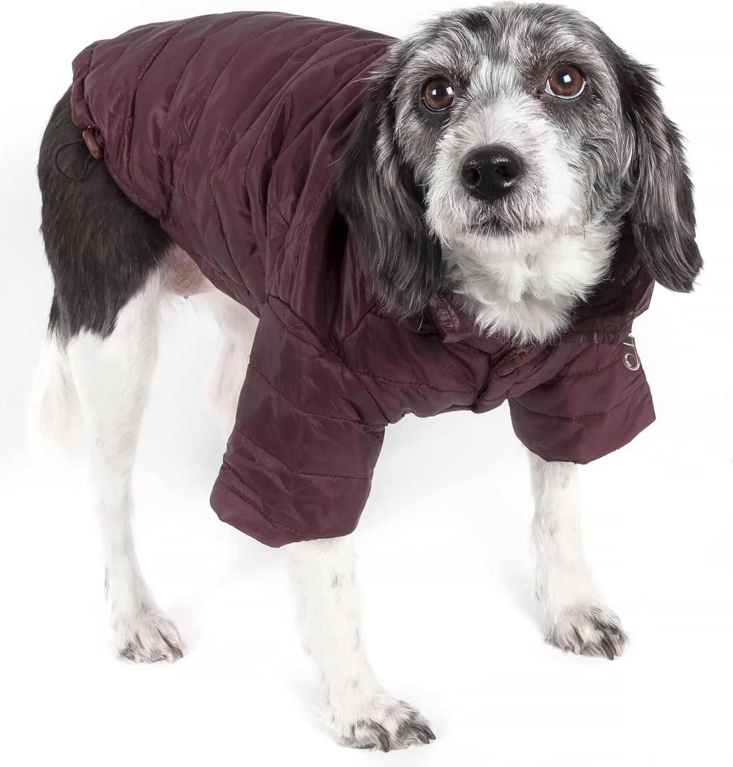 Pet Life Sporty Avalanche Lightweight Folding Winter Dog Coat - Adjustable Dog Jacket with a Concealed Zippered Collar and pop-Out Hood - Pet Coat for Small Medium Large Dogs
