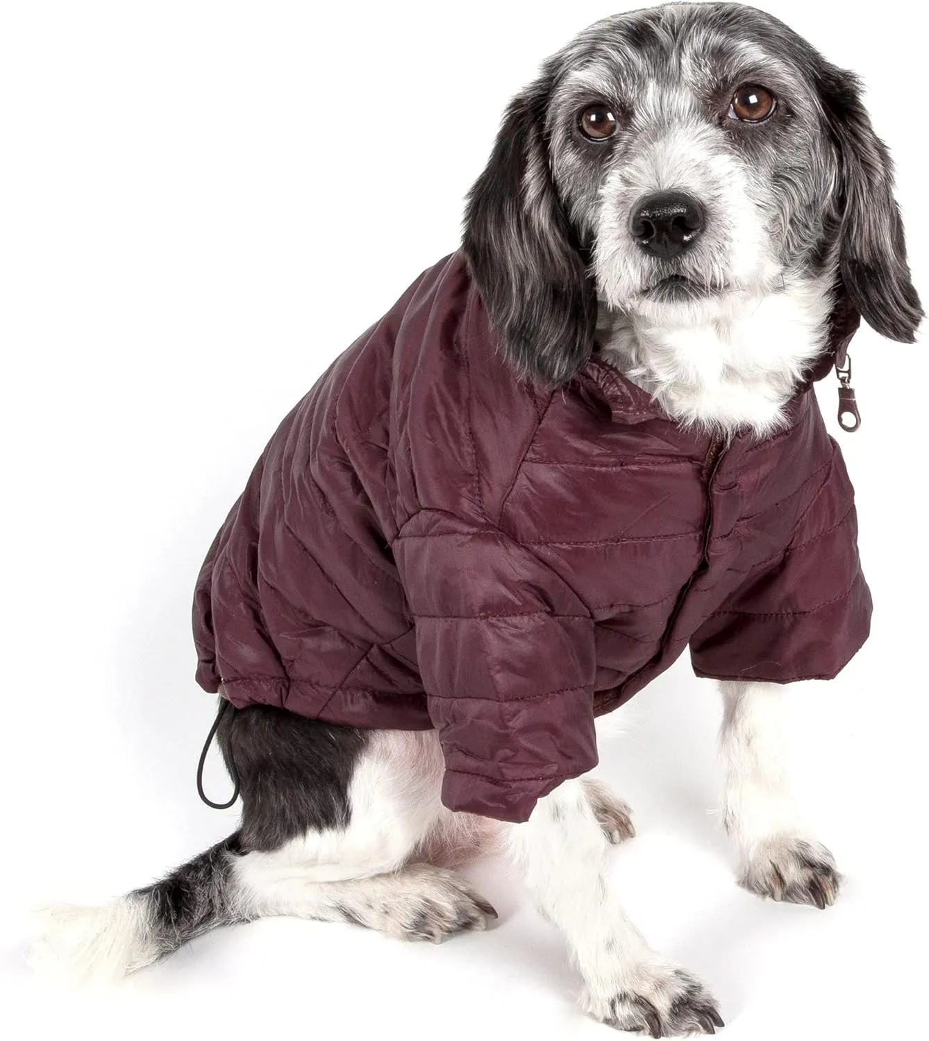 Pet Life Sporty Avalanche Lightweight Folding Winter Dog Coat - Adjustable Dog Jacket with a Concealed Zippered Collar and pop-Out Hood - Pet Coat for Small Medium Large Dogs